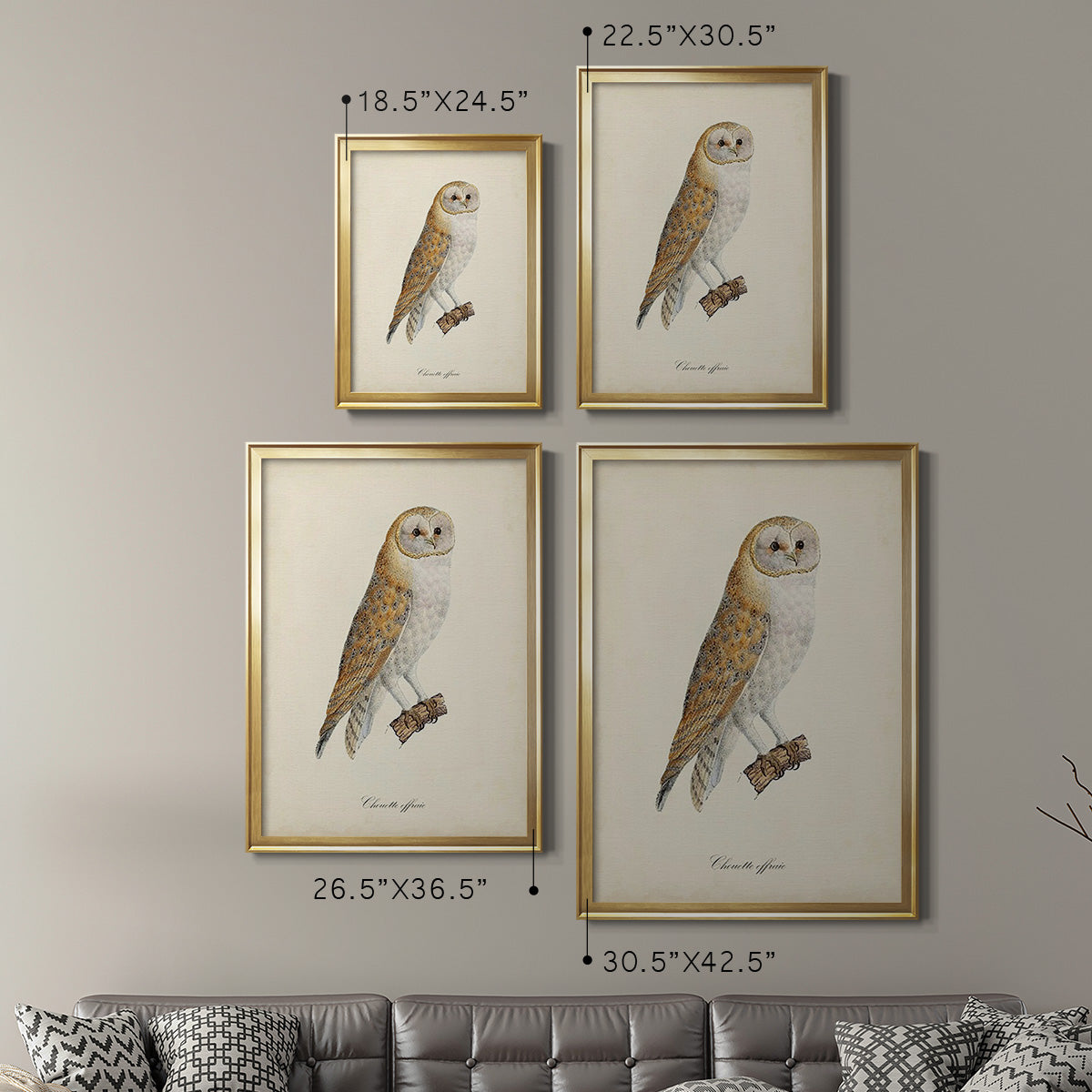 French Owls VI - Modern Framed Canvas Print