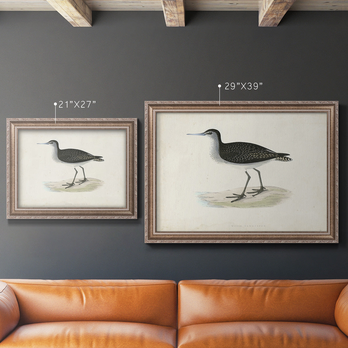 Morris Sandpipers VIII Premium Framed Canvas- Ready to Hang