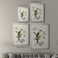 Bird in Habitat IV - Modern Framed Canvas Print