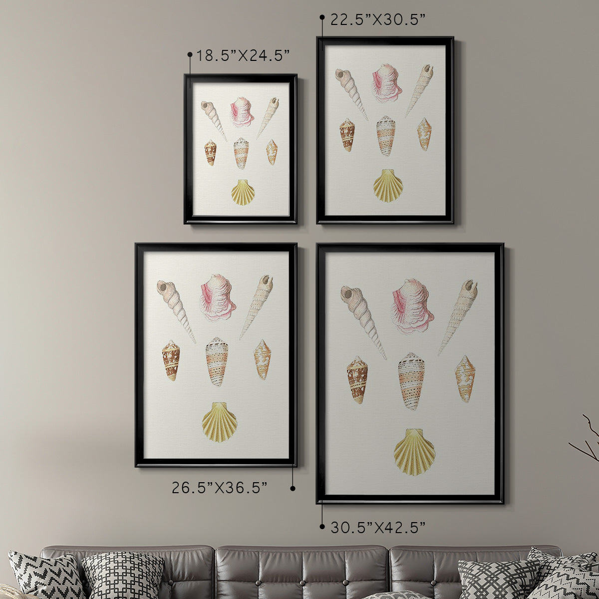 Pastel Knorr Shells I - Modern Framed Canvas Print