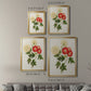 Flowers of the Seasons I - Modern Framed Canvas Print