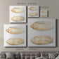 Watercolor Shells V-Premium Gallery Wrapped Canvas - Ready to Hang