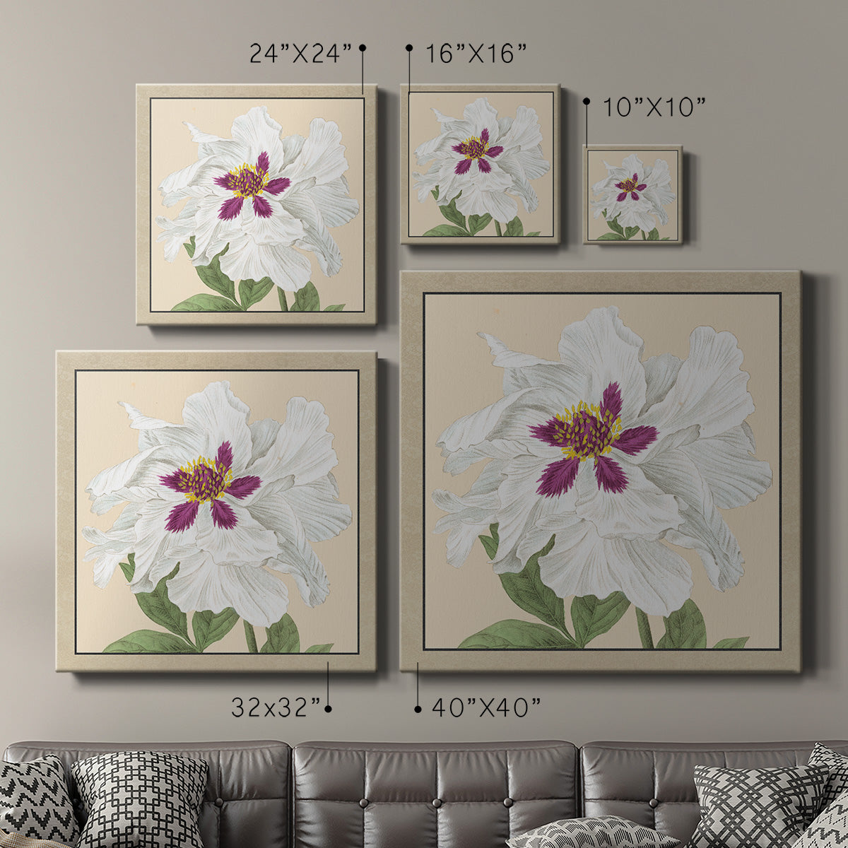 Peony Collection IV - Canvas Art Print