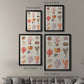 Coral & Shell Collage I -  Framed Canvas Print