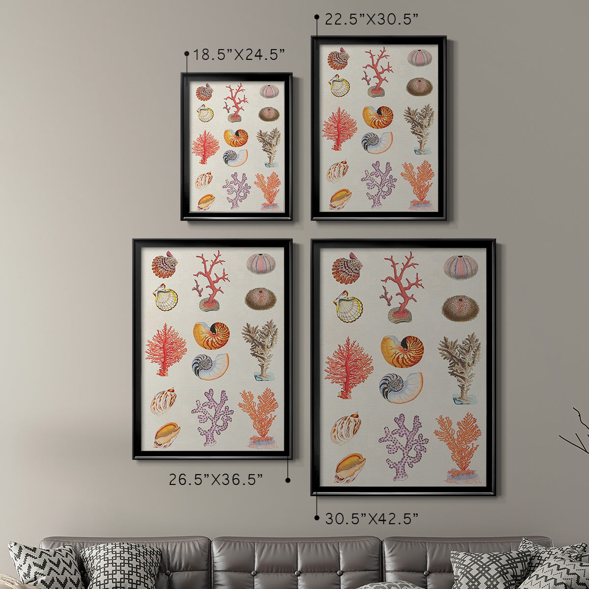 Coral & Shell Collage I -  Framed Canvas Print