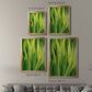 Blades of Grass II - Modern Framed Canvas Print