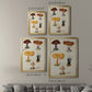 Mushroom Species VII - Modern Framed Canvas Print