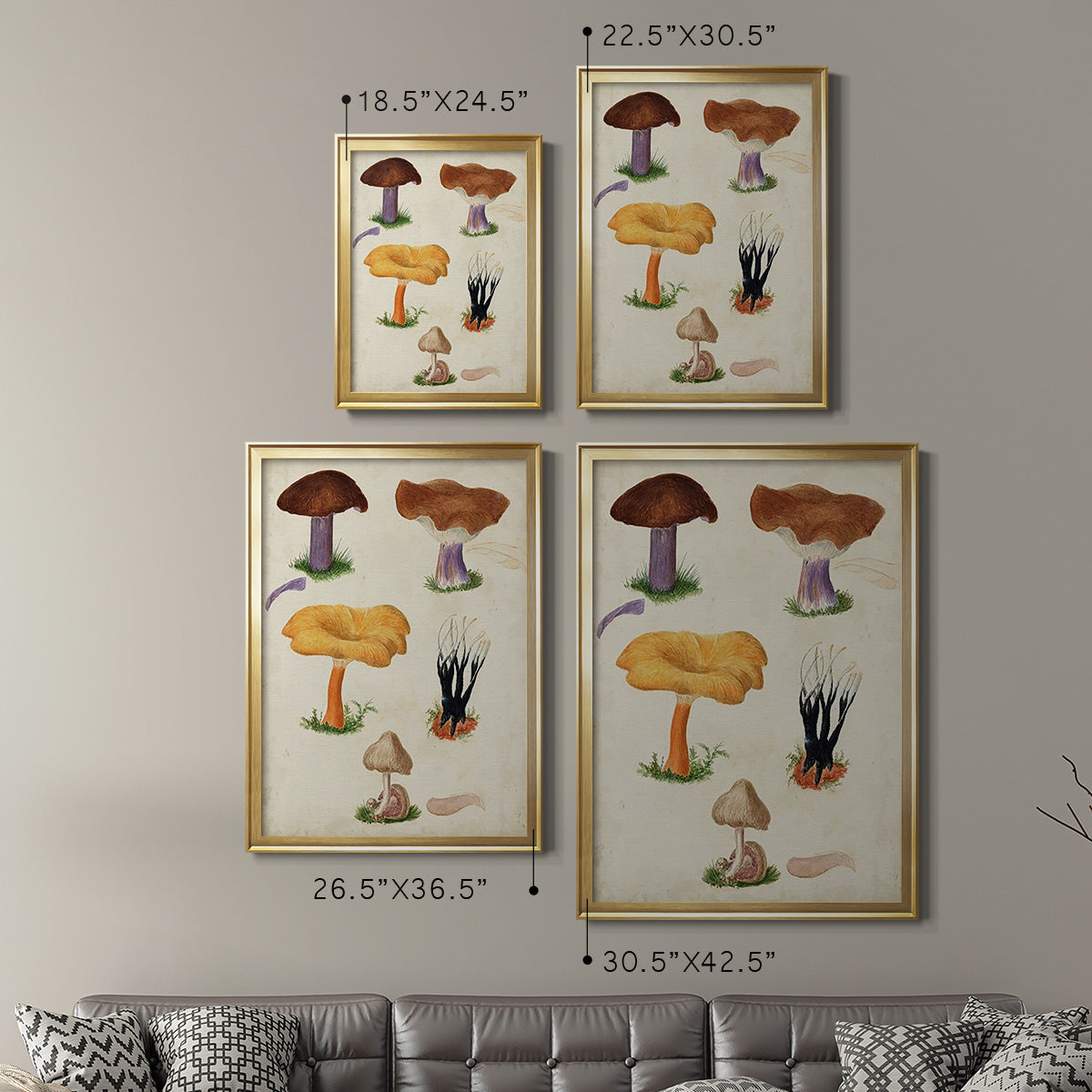 Mushroom Species VII - Modern Framed Canvas Print