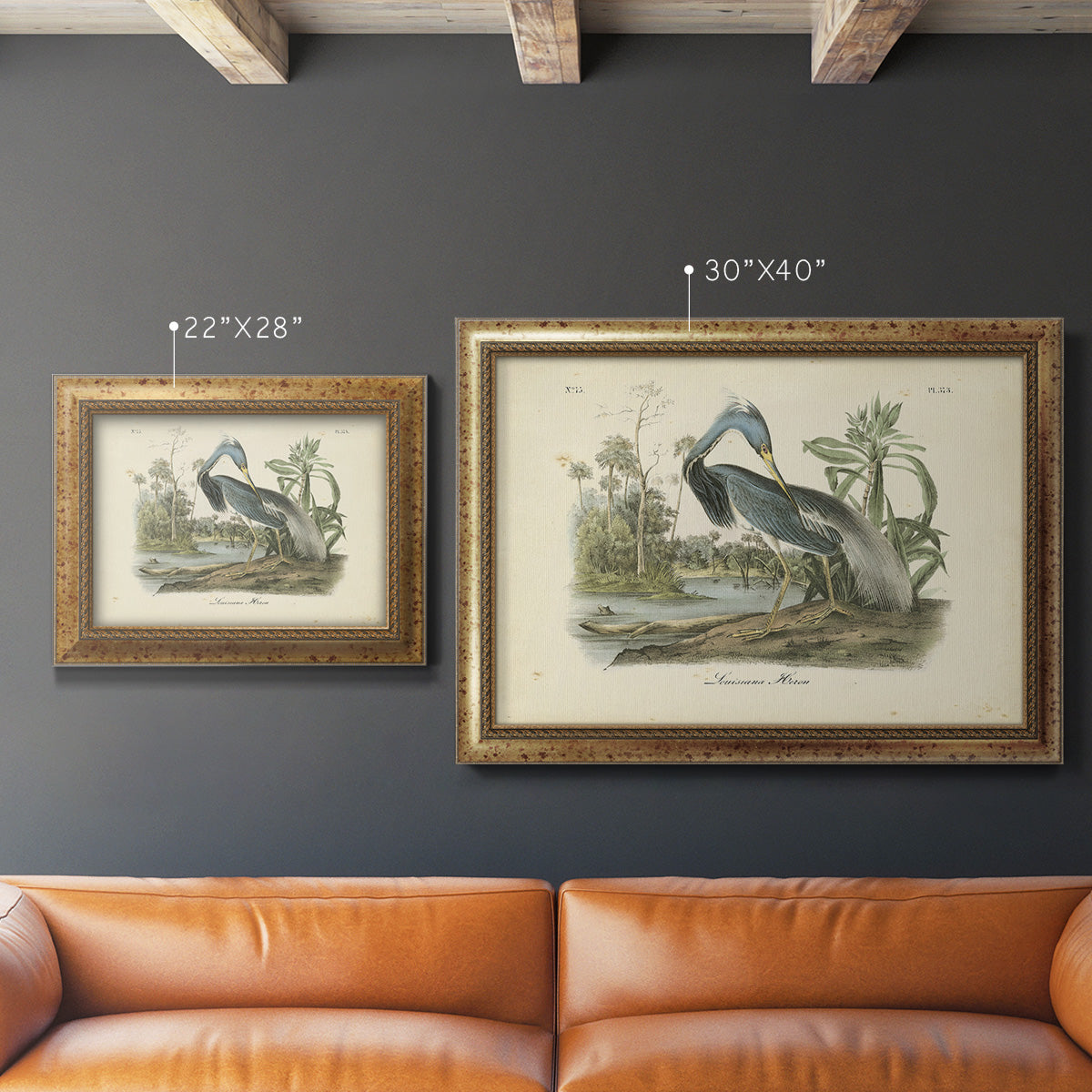 Audubons Louisiana Heron Premium Framed Canvas- Ready to Hang