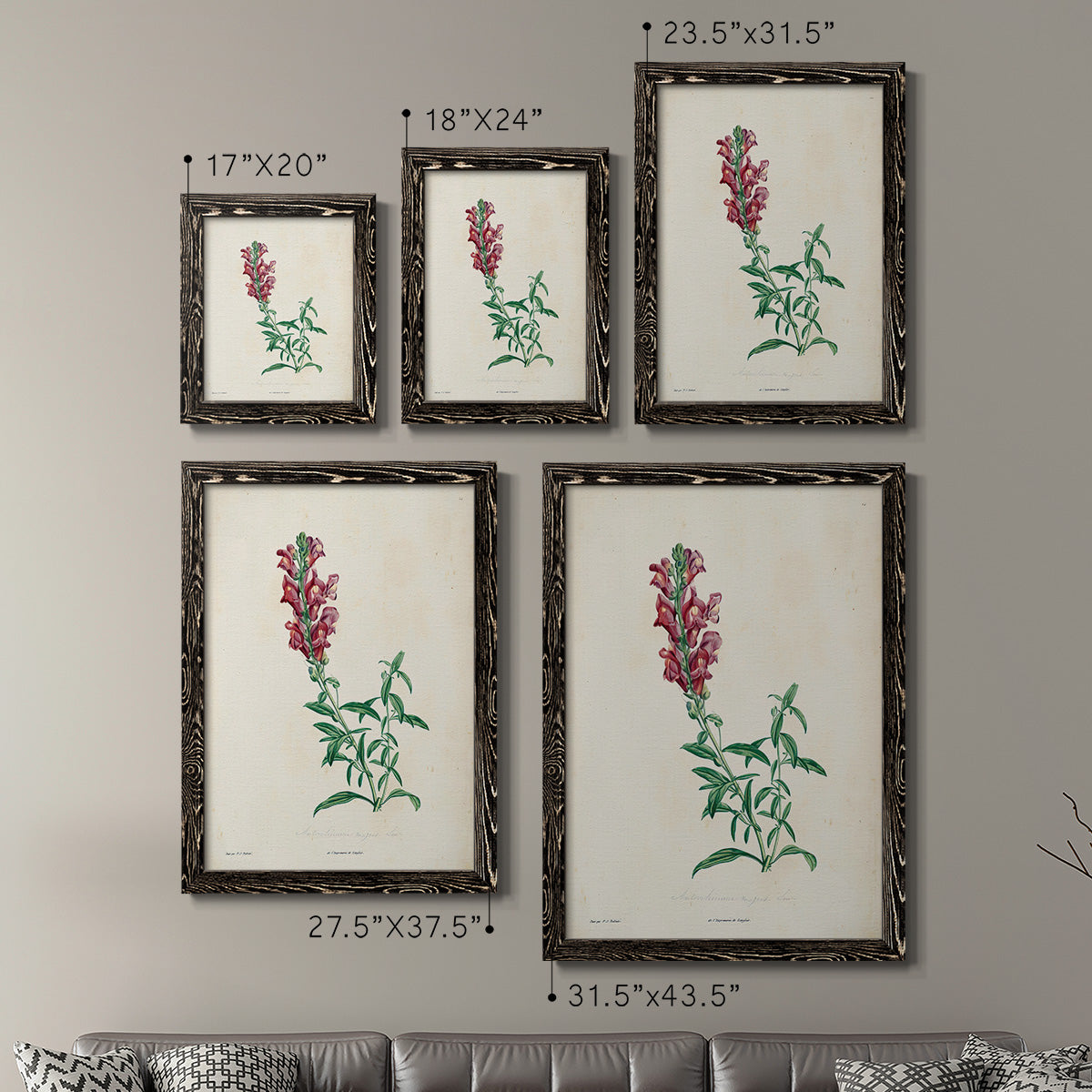 Traditional Botanical I - Premium Framed Canvas 2 Piece Set - Ready to Hang