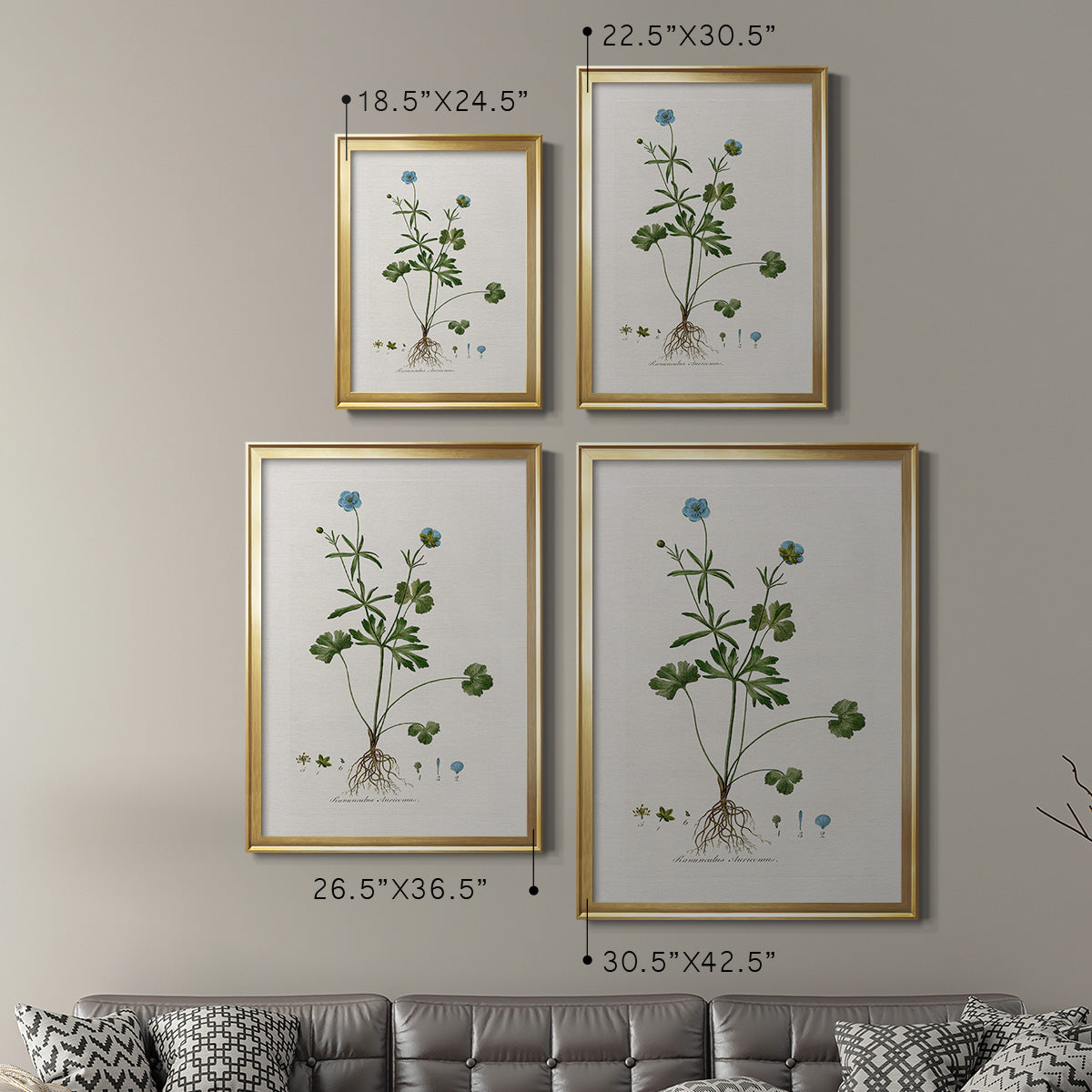 Buttercup Study - Modern Framed Canvas Print