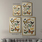Collected Flutter I - Modern Framed Canvas Print