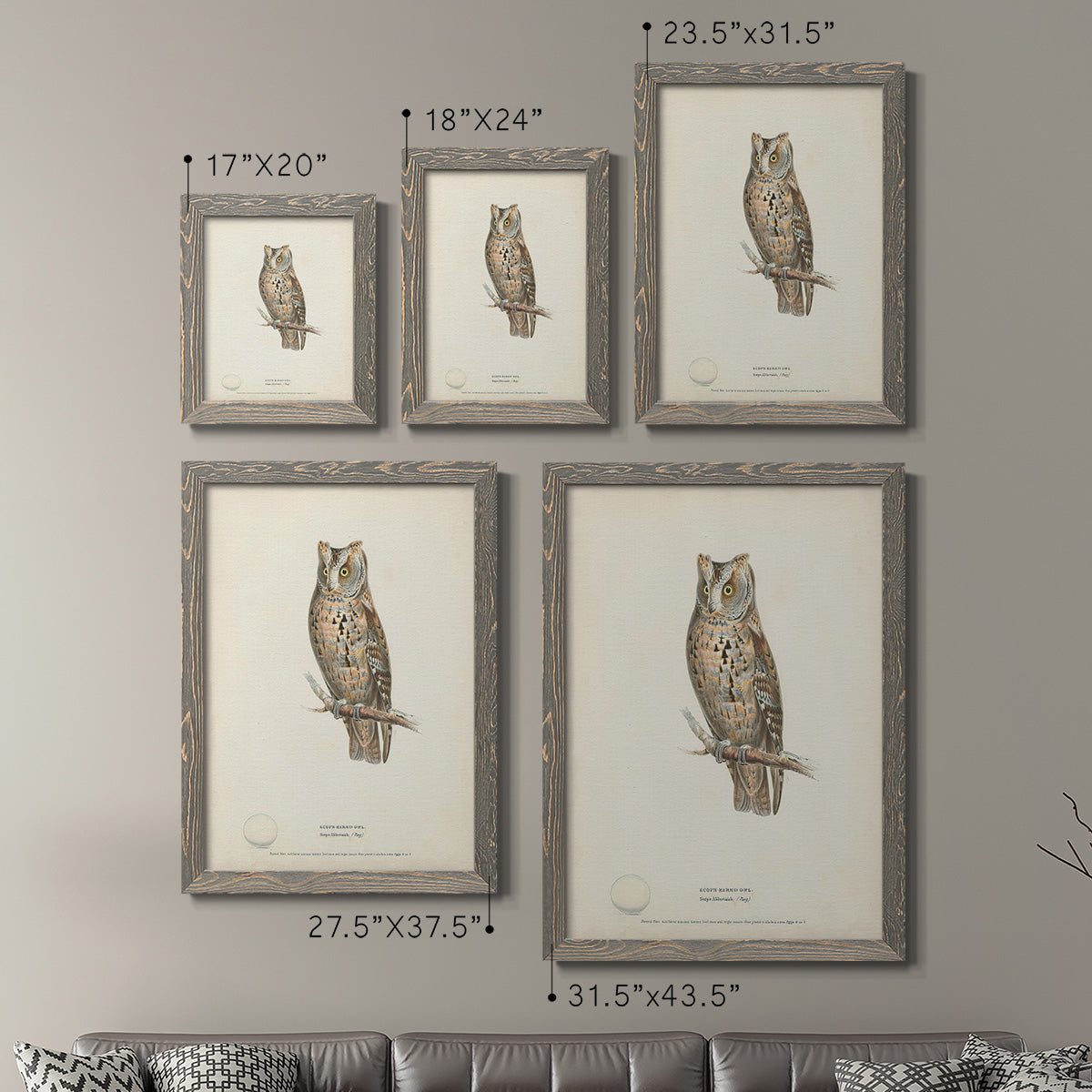 Scops- Eared Owl - Premium Framed Canvas 2 Piece Set - Ready to Hang