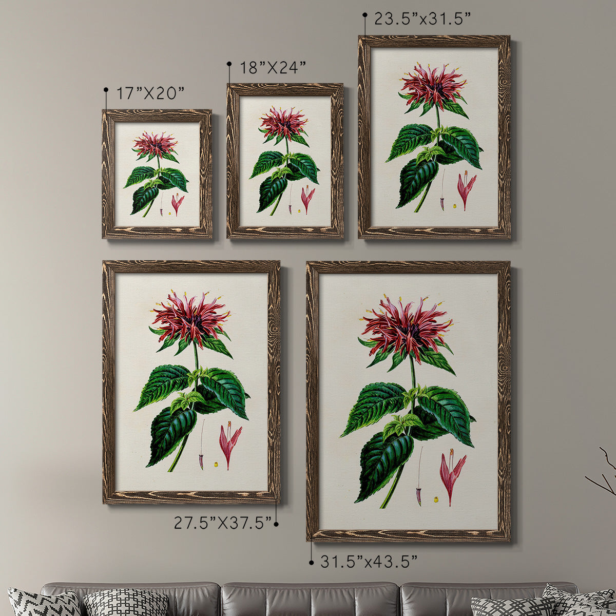 Size comparison chart for a set of two walnut barnwood framed canvas prints.