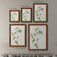 Wispy Botanical I - Premium Framed Canvas 2 Piece Set - Ready to Hang