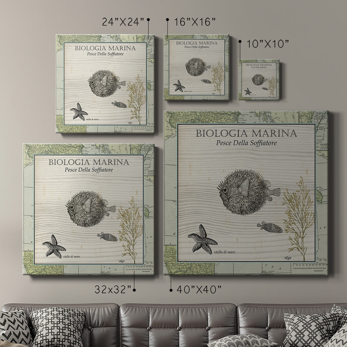 Biologia Marina II-Premium Gallery Wrapped Canvas - Ready to Hang