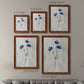 Size comparison chart for a set of two maple barnwood framed canvas prints.