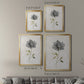 Botanical Beauty I - Modern Framed Canvas Print