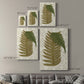 Garden Ferns II Premium Gallery Wrapped Canvas - Ready to Hang