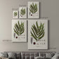 Botanical Society Ferns II Premium Gallery Wrapped Canvas - Ready to Hang