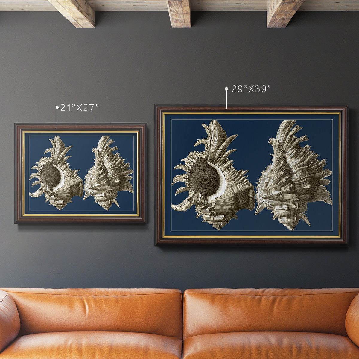 Conch Shells on Navy II Premium Framed Canvas- Ready to Hang