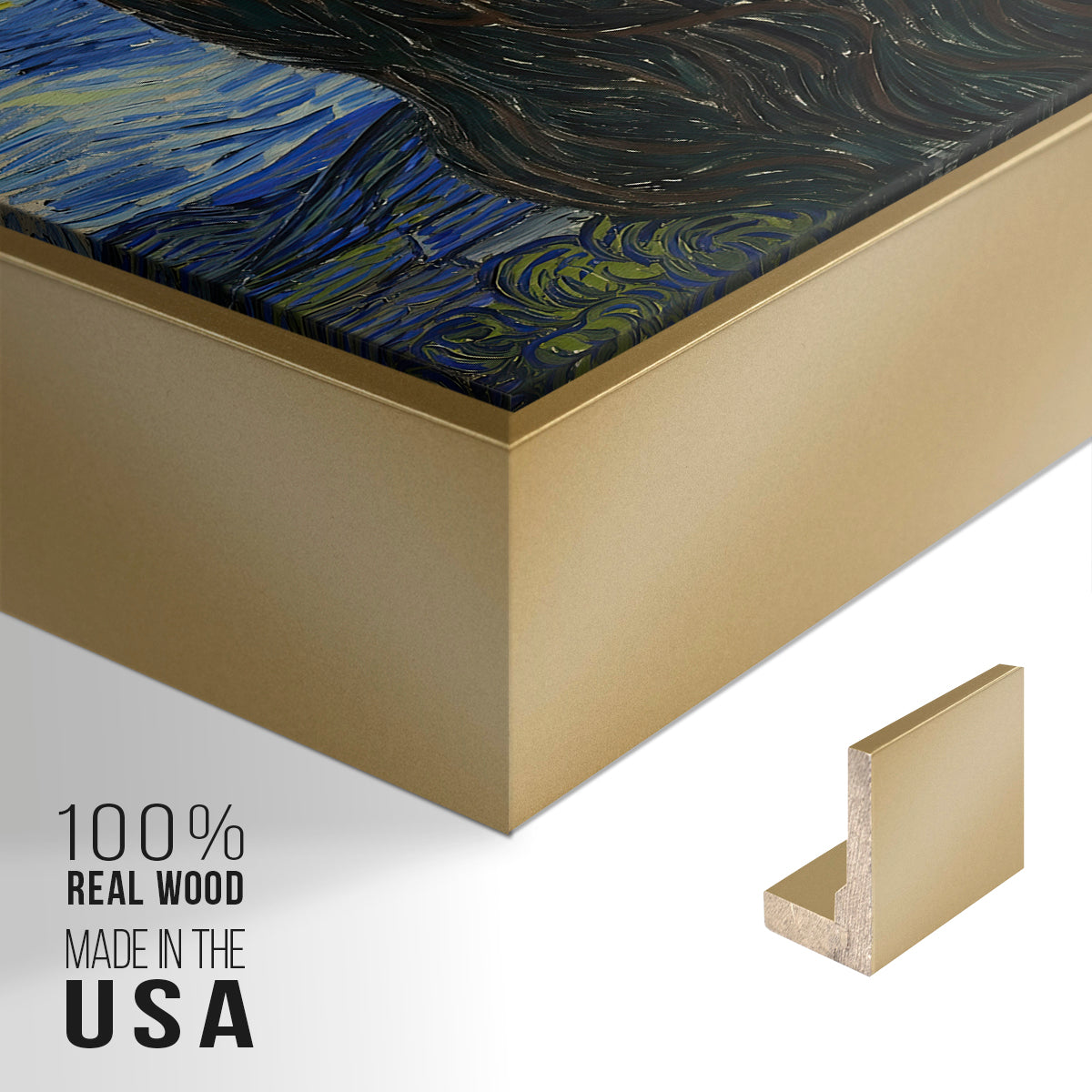 The Starry Night, 1889 - Floater Framed Canvas Print