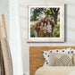 Square Custom Rustic Frames - Gallery Wrapped Canvas or Prints