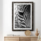 Zebra Colt - Premium Framed Print - Distressed Barnwood Frame - Ready to Hang