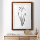 Inky Botanical II - Premium Framed Print - Distressed Barnwood Frame - Ready to Hang