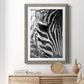 Zebra Colt - Premium Framed Print - Distressed Barnwood Frame - Ready to Hang