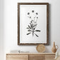 Inky Botanical I - Premium Framed Print - Distressed Barnwood Frame - Ready to Hang