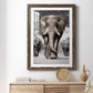 Botswana Patriarch - Premium Framed Print - Distressed Barnwood Frame - Ready to Hang