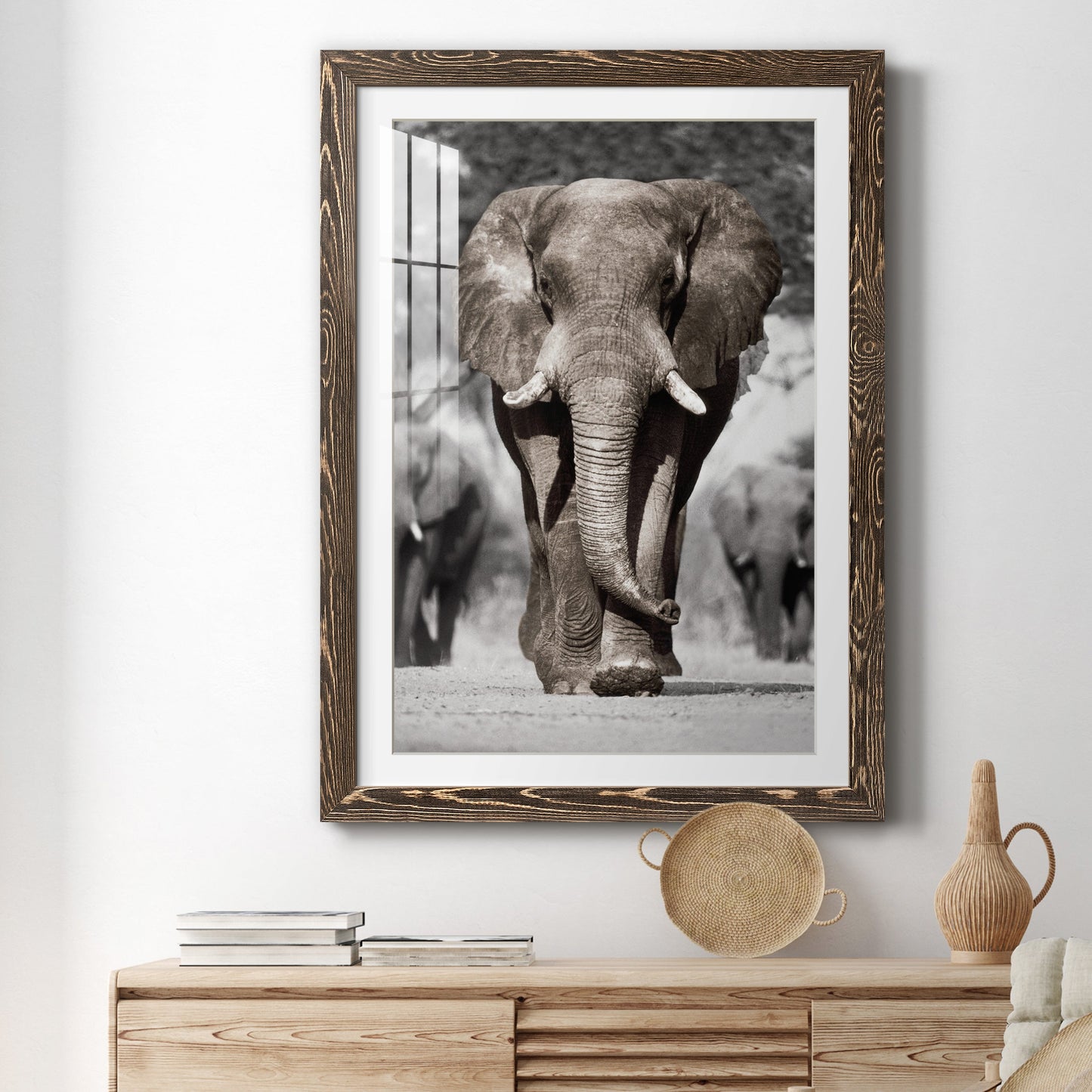 Botswana Patriarch - Premium Framed Print - Distressed Barnwood Frame - Ready to Hang