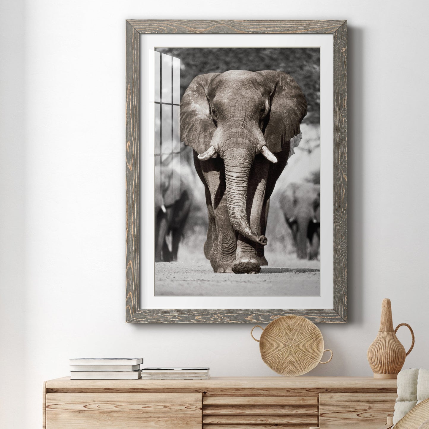 Botswana Patriarch - Premium Framed Print - Distressed Barnwood Frame - Ready to Hang