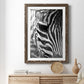 Zebra Colt - Premium Framed Print - Distressed Barnwood Frame - Ready to Hang