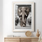 Botswana Patriarch - Premium Framed Print - Distressed Barnwood Frame - Ready to Hang