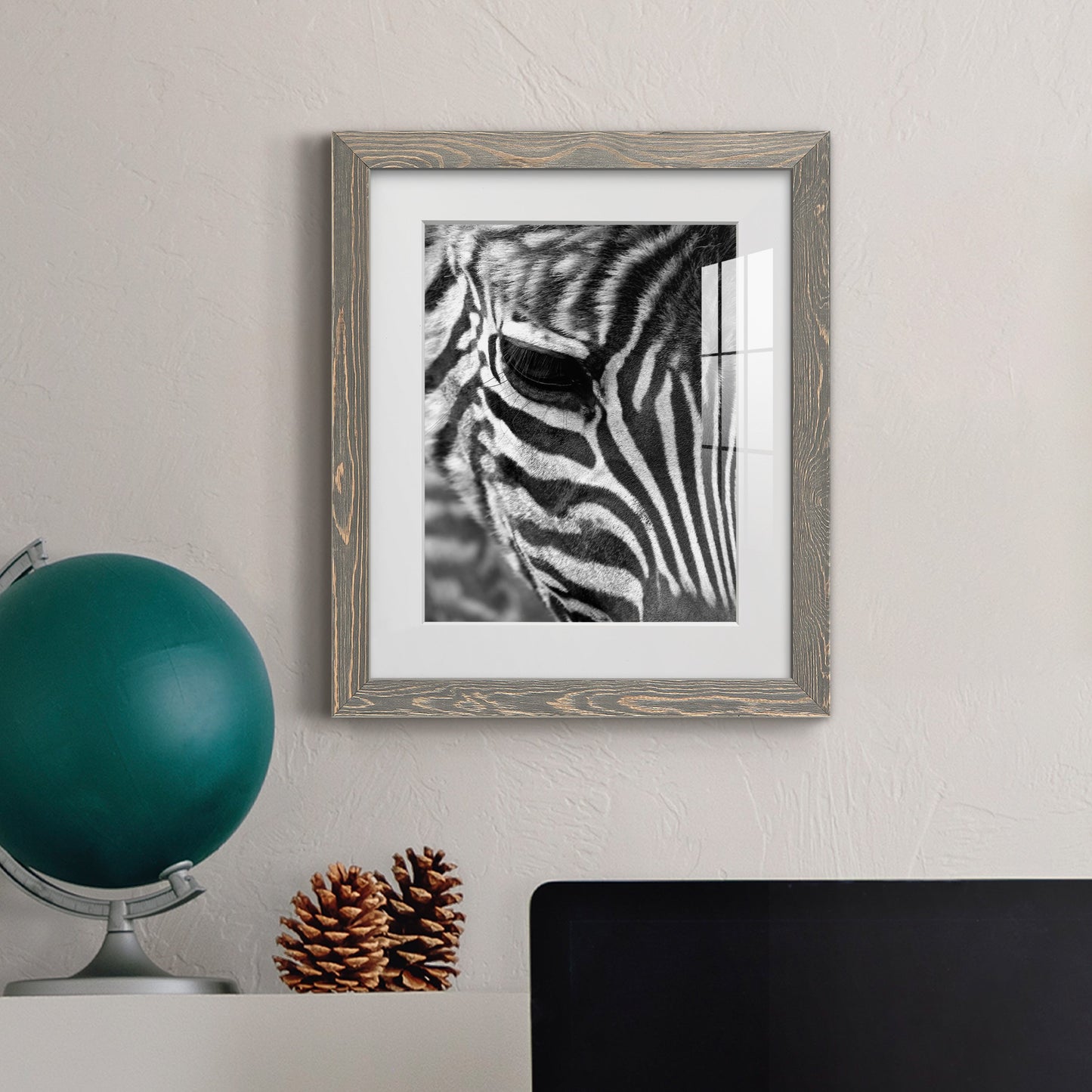 Zebra Colt - Premium Framed Print - Distressed Barnwood Frame - Ready to Hang