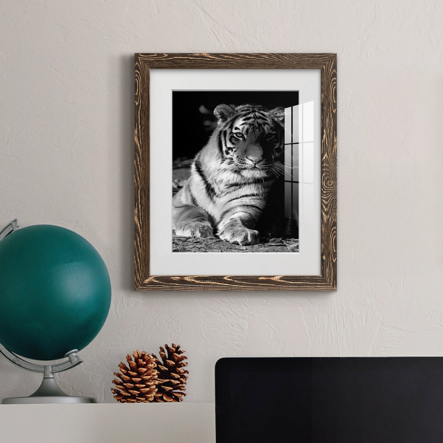 Tiger Repose - Premium Framed Print - Distressed Barnwood Frame - Ready to Hang