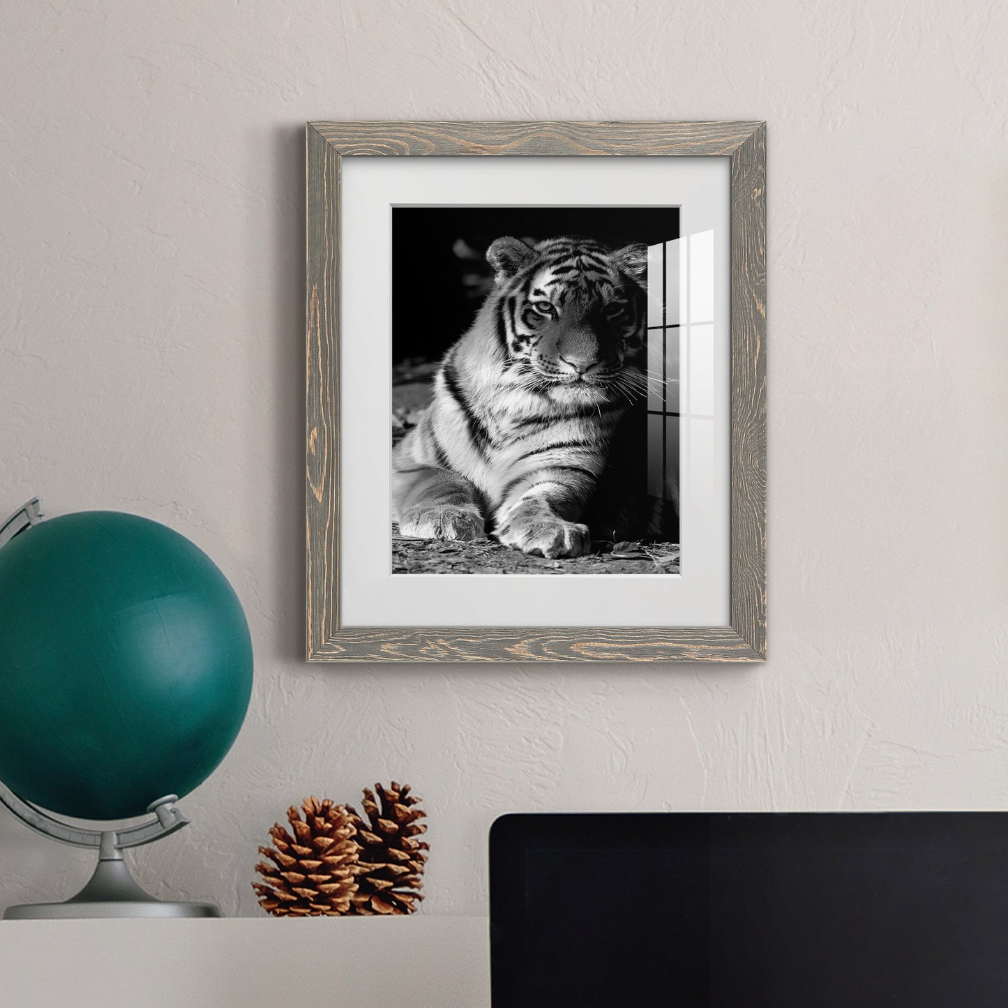 Tiger Repose - Premium Framed Print - Distressed Barnwood Frame - Ready to Hang