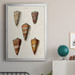 Cone Shell Collection II - Modern Framed Canvas Print
