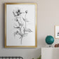 Wild Poppy Sketch - Modern Framed Canvas Print