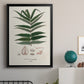 Botanical Society Ferns XII - Modern Framed Canvas Print