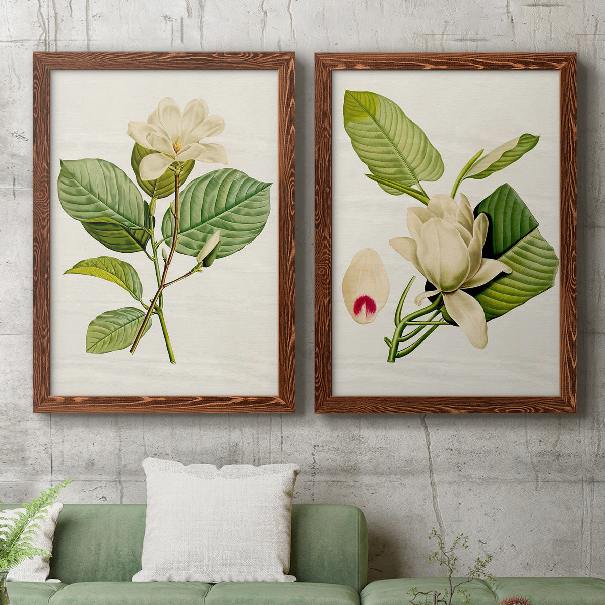 Set of two maple barnwood framed canvas prints depicting a coordinated art pair of white magnolia blossoms and glossy green leaves rendered as traditional botanical paintings above a sofa in a modern living room.