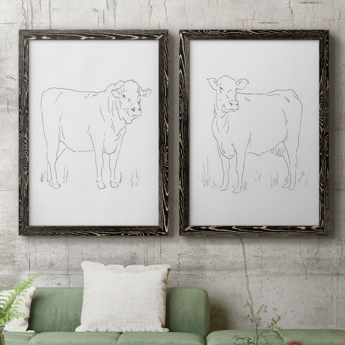 Set of two black barnwood framed canvas prints depicting a coordinated art pair of simple contour drawings of standing cows rendered as minimalist livestock sketches above a sofa in a modern living room.