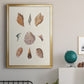 Knorr Shells & Coral VI - Modern Framed Canvas Print