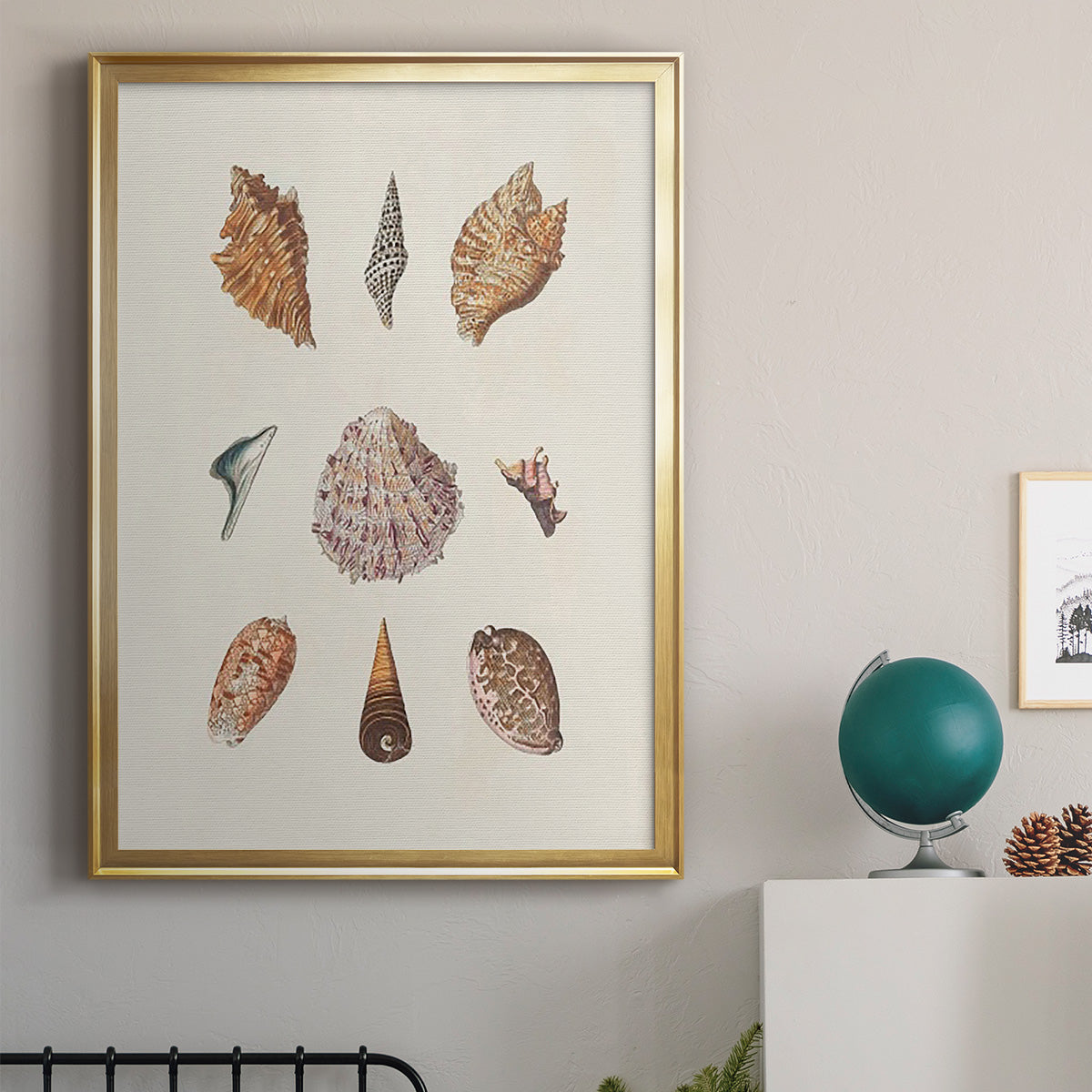 Knorr Shells & Coral VI - Modern Framed Canvas Print