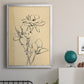 Magnolia Sketch II - Modern Framed Canvas Print