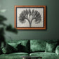 Vintage botanical plant study photograph by Karl Blossfeldt in an ornate vintage burl wood frame displayed in a dark-toned interior setting.