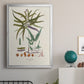 Botanical Society Ferns VIII - Modern Framed Canvas Print