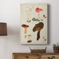 Mushroom Species XI - Canvas Art Print